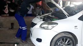 Giant king cobra caught in car engine in southern Thailand