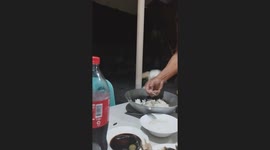 Aspin dog jumps high as she anticipates what her next meal will be