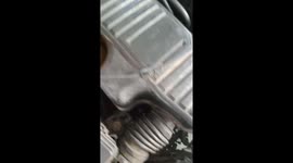 Two kittens stuck in car engine rescued in Thailand