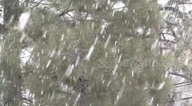 US, Los Angeles: Big Bear Daytime Snowfall