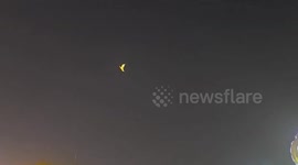 Luminous mechanical bird falls out of sky during show and hits tourist