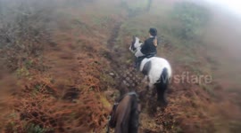 Equestrian Disoriented After Rotational Fall