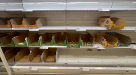 Cyclone Alfred blamed for egg shortage in Sydney, Australia