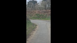 On the way to work, I was driving through some cornish lanes and found this car on a hedge.