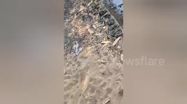 Cow stuck in drain near hostel is rescued by locals in India