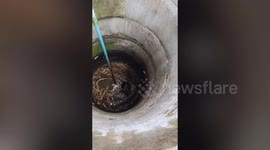 Dog trapped in 30ft deep well rescued in Thailand