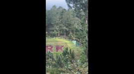 Thrillseeker rides zipline while dressed as a 'merman'