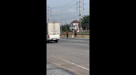 Restaurant staff rescue dog trapped on busy road