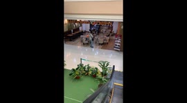 Doting dog owner takes pictures of pooch posing at table