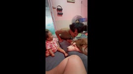 Affectionate toddler kisses pet Husky... who's nonplussed by the attention