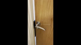 Loyal dog locks mom in the bathroom by accidentally wedging toy against door