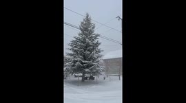 Winter storm Slams San Bernardino Community