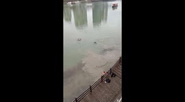 Good Samaritans rescue driver from crashed car sinking in river