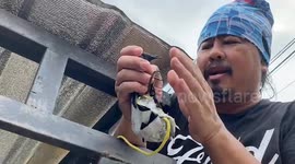 Residents rescues bird trapped deep inside metal pillar