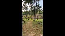 Mountain biker flies over his handlebars when hits ramp