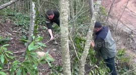 Türkiye: Rescuers Free Badger Trapped in Snare after Three-Hour Effort