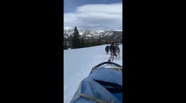 Dog Sledding In Big Sky Country