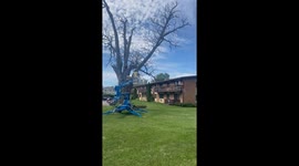 Tree Branch Hits Arbor Lift