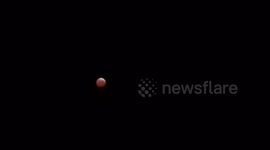 Cayman Islands: Roosters Crow as Total Lunar Eclipse Visible in Night Sky