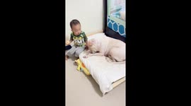 Preschooler enjoys tender moment planting kiss on pet pooch