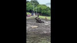 People ride boards down muddy slope in Gold Coast, Australia