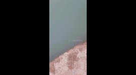 Man retrieves phone after it falls into lake in Rishikesh, India