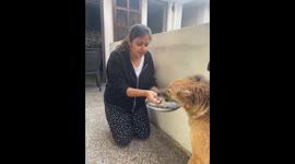 Dog growls at owner for feeding another dog in Sonipat, India