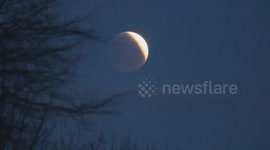 Lunar Eclipse Video Filmed Before Dawn With Singing Birds (UK)