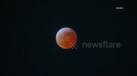 US, Bakersfield: Los Angeles Blood Moon Lunar Eclipse Peak
