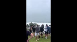 Surfer braves massive waves despite Cyclone Alfred warnings in Burleigh Heads, Australia