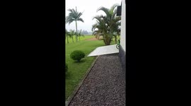 Child falls into mud while riding bicycle in Araranguá, Brazil
