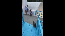 Monkey attacks women during photo session in Da Nang, Vietnam