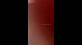 Kitten climbs down a wall in Shandong, China