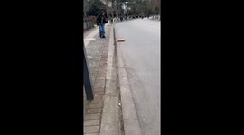 Cat sleeps on the street with paws up in Sichuan, China