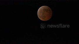Canada: Lunar Eclipse Seen From Surrey, BC Canada
