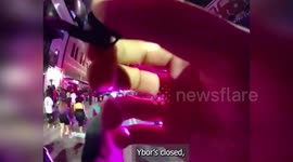 Reveller arrested for 'hitting police horse' in Florida