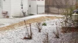 US: Intense Hailstorm Hits Winfield, Alabama