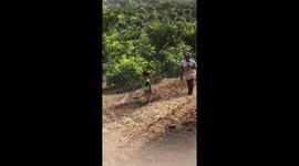 Hardworking toddler helps out father on the farm