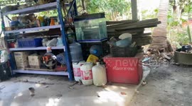 Deadly king cobra snake caught in couple's bedroom