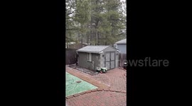 US: Heavy snowfall in Flagstaff