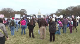 US: Veterans rally in Washington DC to protest federal job cuts