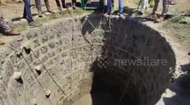 Lion cub falls into well, pulled to safety