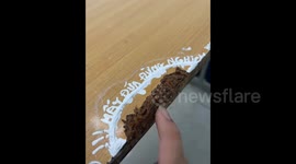 Tiny forest on a school desk? Watch these trees grow in just 4 days