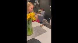 When you don't like birthdays - cat looks less than impressed during party