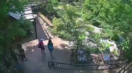 Dine-and-dash backpacker 'flees Thai restaurant after eating ribeye steak'