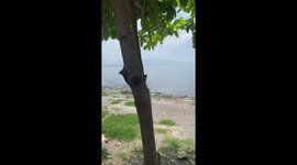 Sweet kid pulls dog through sea with homemade boat