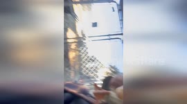 Shelter duck has amusing chat with the camera
