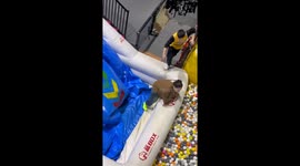 funny trampoline game