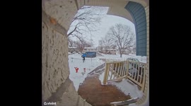 Delivery Driver Haphazardly Tosses Package at Doorstep