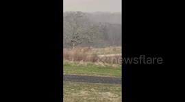 US: Tornadoes and Severe Storms Sweep Through Midwest and South, Bringing Large Hail